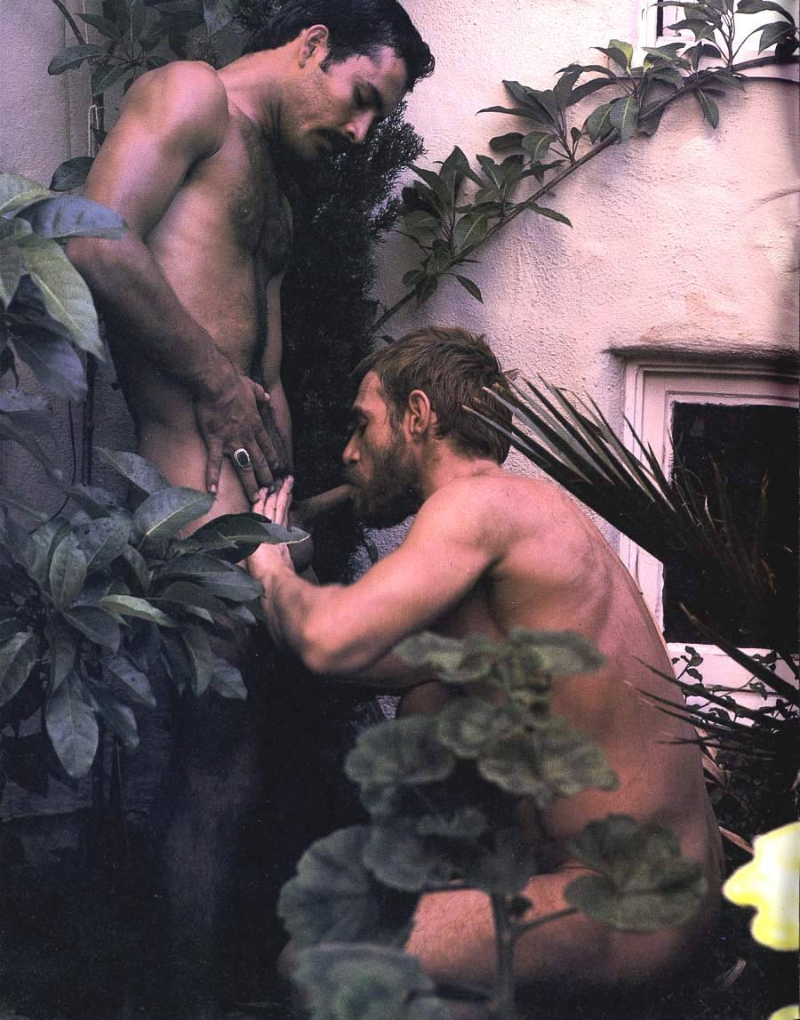 scruffy JIZZ monkey!
