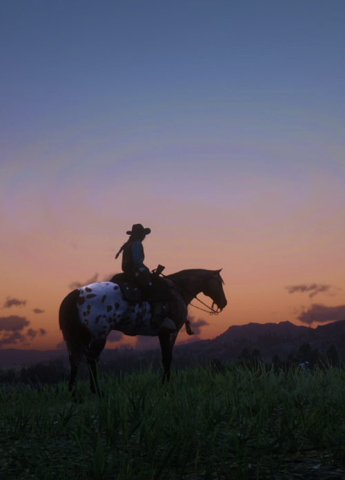 RDO shenanigans with Cassidy Moses and pretty scenery#SaveRedDeadOnline