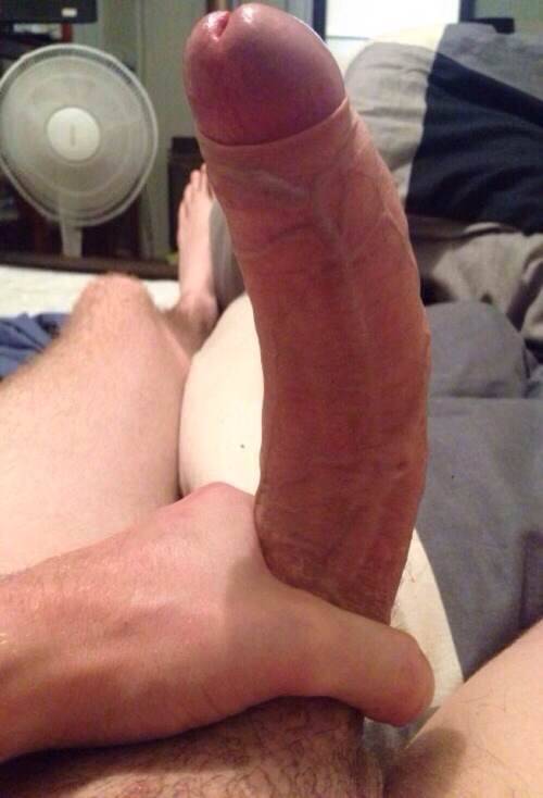 Freckles, Fur & Foreskin