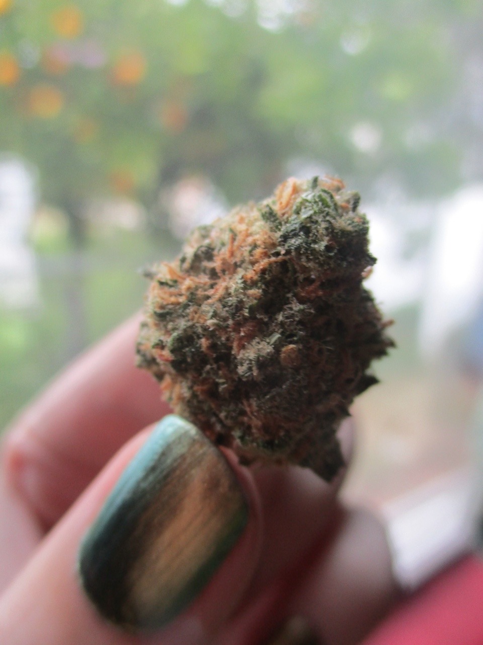 chloechronic:  jack 😋