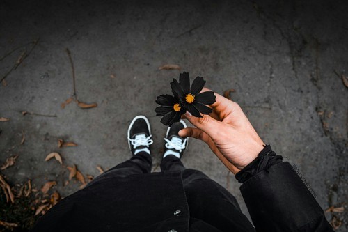 teenagehipst3r:  hipster / indie blog 