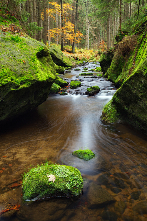 bonitavista:Czech Republicphoto via lisa