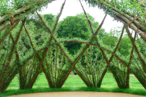 ryanpanos:  Grow your own Design via Architizer  Trees are the most fundamental shelters for humans and fauna alike. Vitruvius said it; Marc-Antoine Laugier drew it: Trunks equal supporting columns, the crown of leaves is the roof. Most architects have
