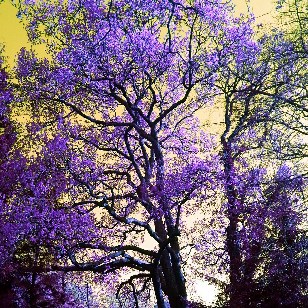 lordofcrisps:  All that nature got to me. I  needed some other colours. Maybe I’ll