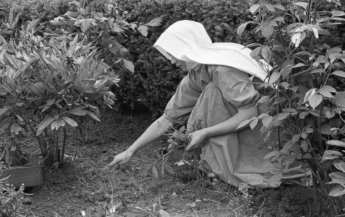 bookoffixedstars:Gardening Nun - Ladywell Convent, Surrey, England. 1968 (Image: TMS)