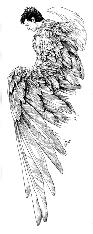 sketching-fox: Inktober 2018! And SupToberArt 2018 - Day 05: Feathers! One more day complete!  Done 