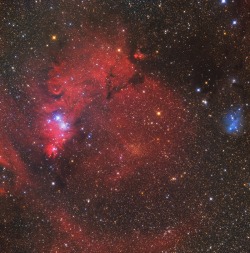    NGC 2264 region by Gerald Rhemann 