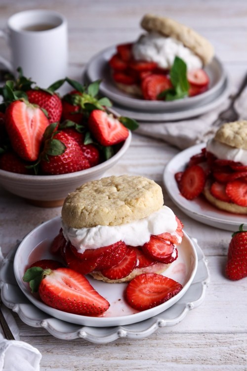 sweetoothgirl: Strawberry Shortcake Desserts (recipes 1, 2, 3, 4, 5, 6, 7, 8, 9, 10) 