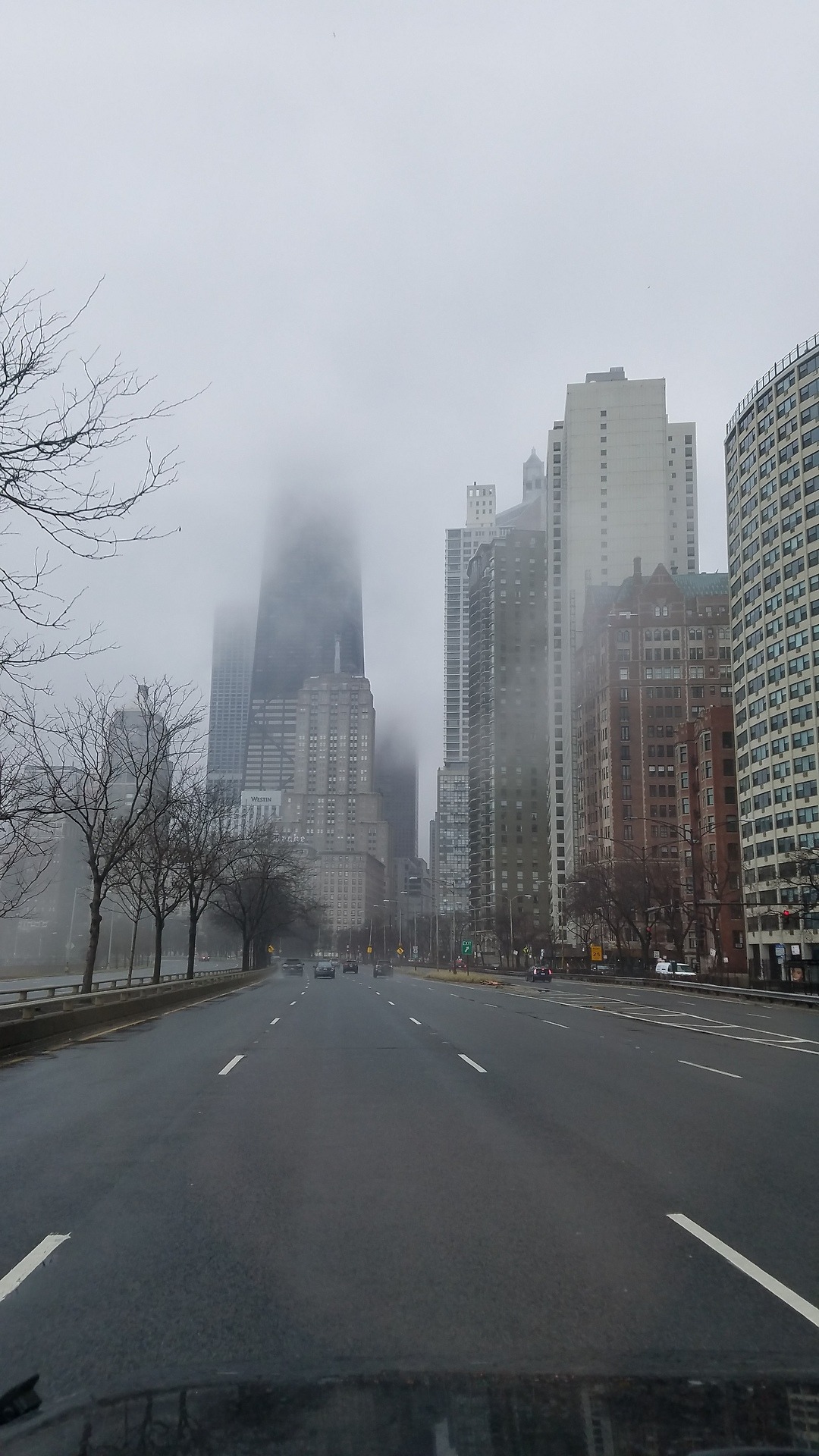 jake9536:  thepupupthere:  Dreary day in Chicago with @jake9536  You say dreary,