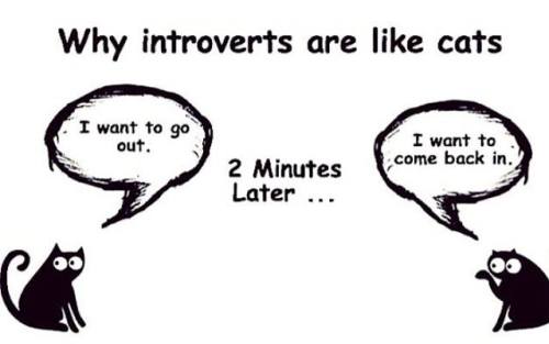 Introvert Problems