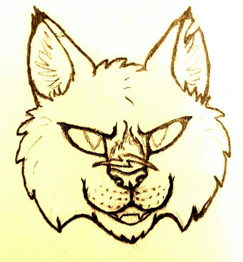 Made some art of Tigerstar, it turned out really well