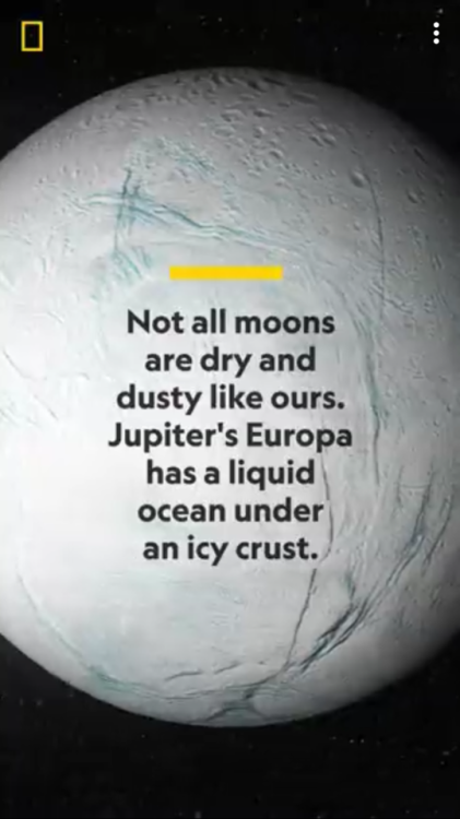 lucifers-lettuce:biomerge:WHY DID THEY DRAG THE MOON LIKE THISReblog if you love our dusty dry ass o