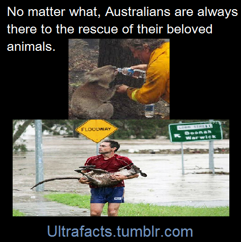 ultrafacts:  Sources: 1 2 3 4 5 6 7 8 9 For more facts on your dash, follow Ultrafacts