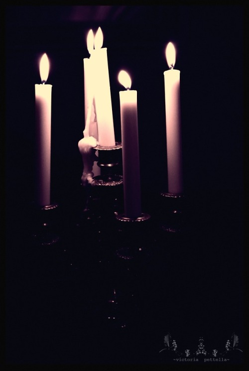 hiddenportal:by candlelight I come to life ~victoria pettella