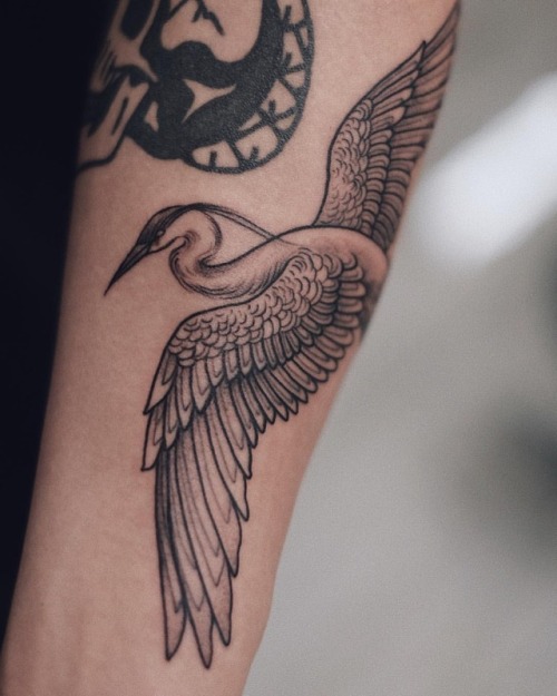 sashatattooing:Crane #sashamasiuk #sashatattooing #losangeles #beauty #crane #tattooartist (at Los