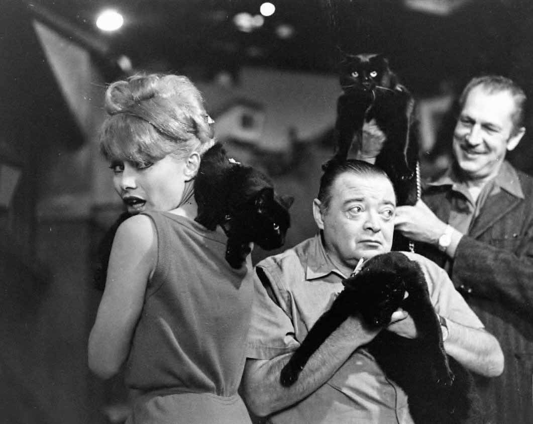 Vincent Price, Peter Lorre and Joyce Jameson.