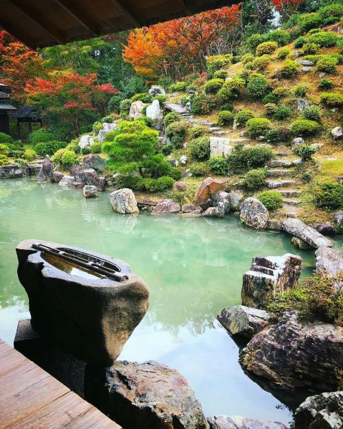 智積院庭園 [ 京都市東山区 ] Chishakuin Temple Garden, Kyoto の写真・記事を更新しました。 ーー京都駅から2番目に近い常時公開の国指定名勝庭園“利休好みの庭”。 #