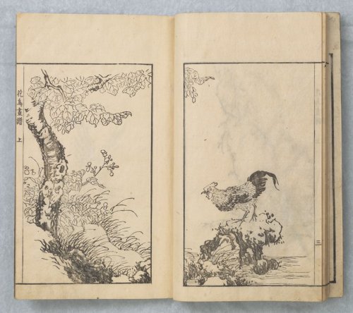 Paintings by Sō Shiseki (Sō Shiseki gafu 宋紫石画譜), vol. 2, Sō Shiseki, 1765, 8th lunar month, Minneapo