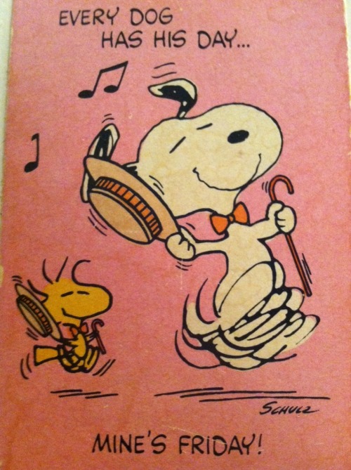 aztrailchick:  Happy black Friday! Best Hanukkah present ever.