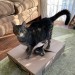 catasters: