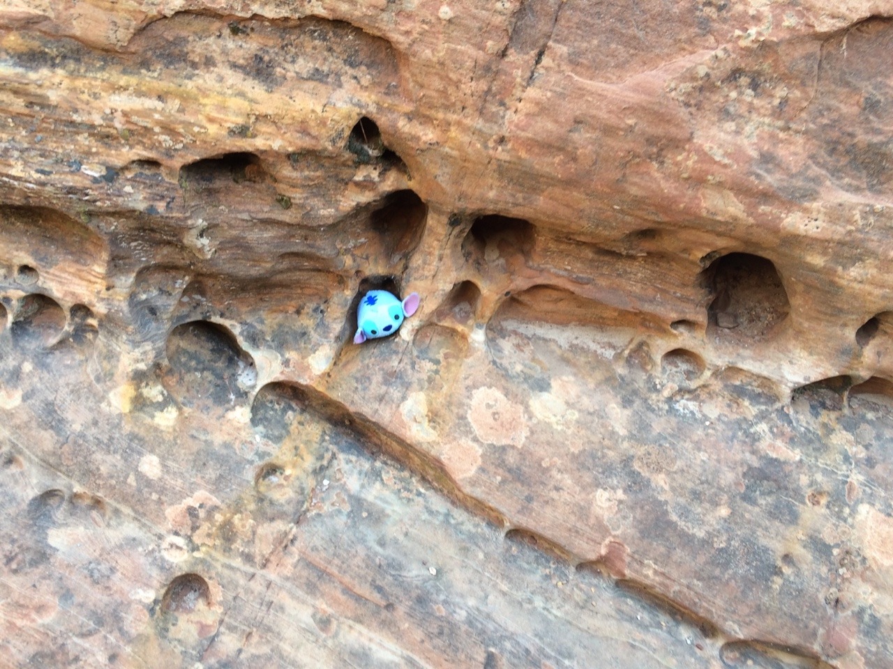 the-prodigalsun:  A long day of hikes and exploring, with even a Stitch-sized hotel!