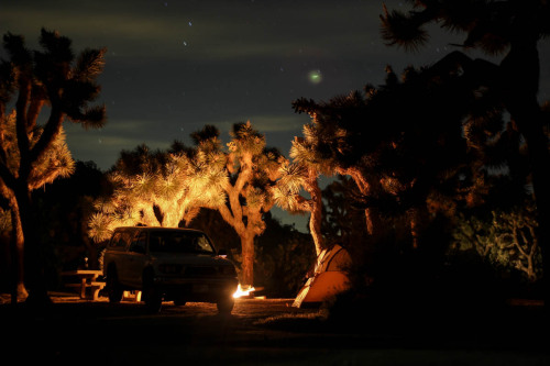 Joshua Tree National Park.