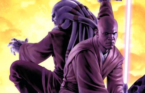gffa:#THAT’S IT THAT’S THE POST#MACE WINDU APPRECIATION JUST BECAUSE#BECAUSE FANDOM COULD ALWAYS USE