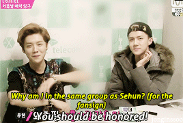  best of dumb exo pt. 2: ↳ Sehun 