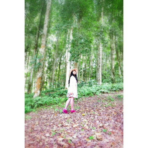 #nature #girl #tripod #trip #fresh #fragrance #forest #vscocam #vscocze #vsco