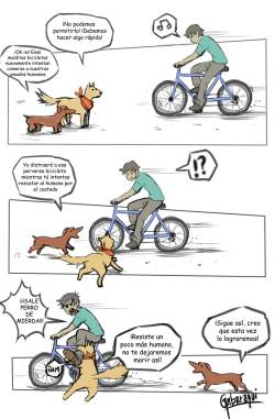 Perros persiguiendo bicicletas :D