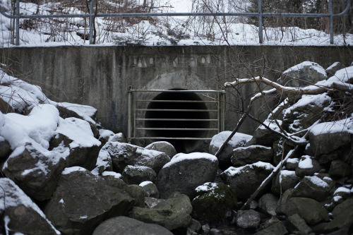 Storm drain outlet at Kain’s Woods. (photographer: Giles Whitaker)