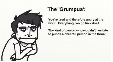  I’m  the Grumpus, the Afternooner, or Sleep Didn’t Happen. Depends.