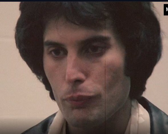 crysqueen: freddiemercurylesbian:  denial anger bargaining depression acceptance