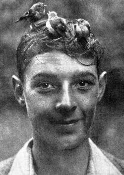 A family of goldcrests nestling in a boy’s hair, February 16th 1945.