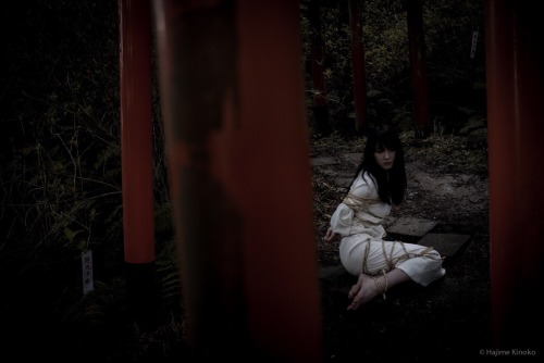 hajimekinoko:Shibari in the shrine