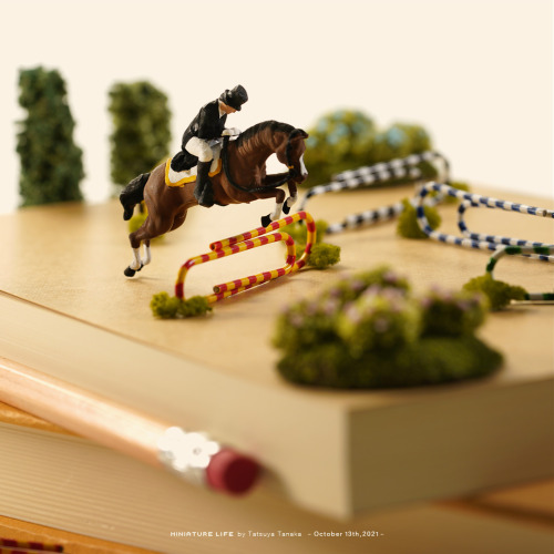 Equestrian by Tatsuya Tanakaきじょうで  きじょう riding on the desk