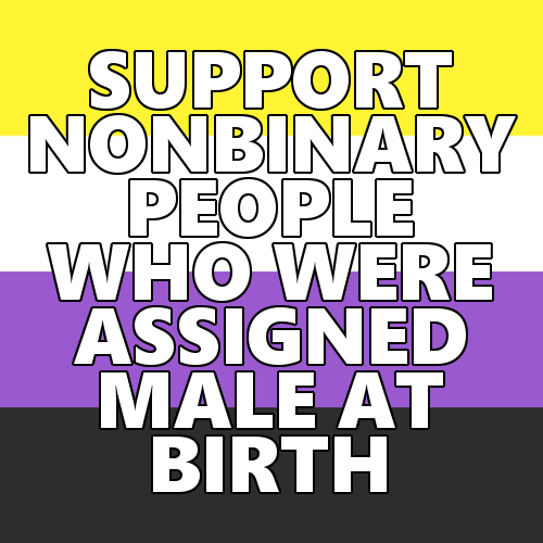 queerlection:[Image description - Images of the nonbinary pride flag with the text: SUPPORT NONBINAR