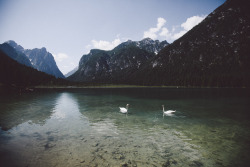 elenamorelli:  { hiking in alto adige } 