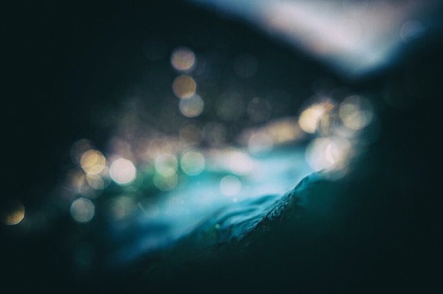 highenoughtoseethesea:  Moody Beauty Photos: Ray Collins