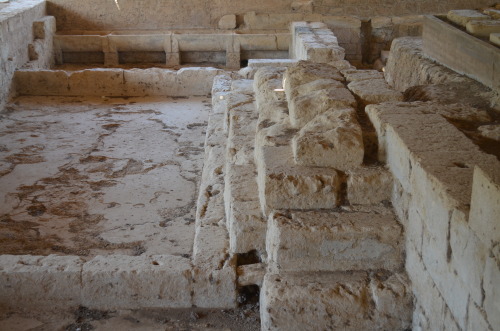 greek-museums:Ancient Nemea:The public bath of Ancient Nemea, the Temple of Zeus of Nemea, the stoa 