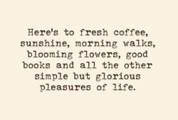 brilliantlybeloved:Morning, tumblr