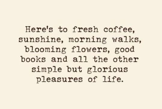 brilliantlybeloved:Morning, tumblr