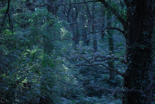 buron: September Blue (11) ©buron - September ‘14