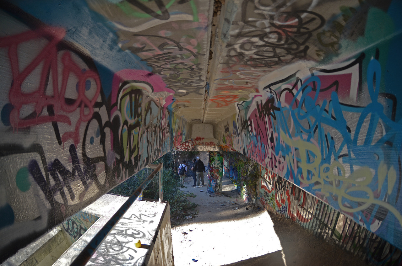 ZacFranklandPhotos