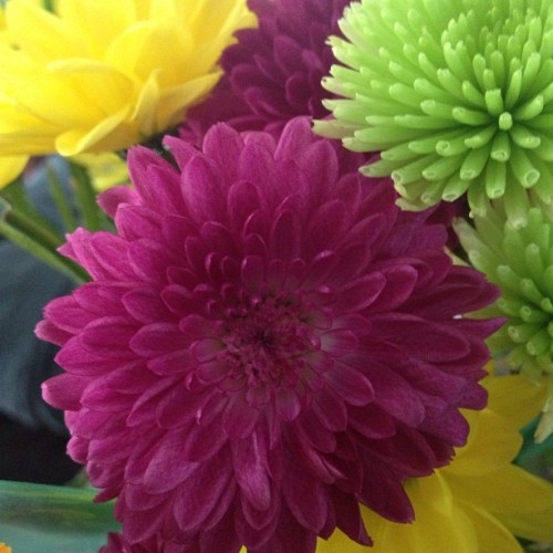Flowers #purple #flowers #yellow #green #pretty