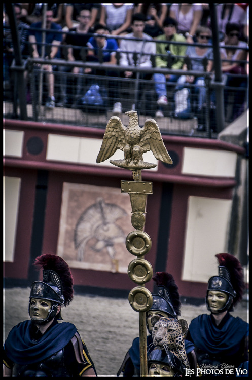 L'Aigle Romaine, emblème des légions de Rome, signifiant la présence de Rome partout dans l'empire (