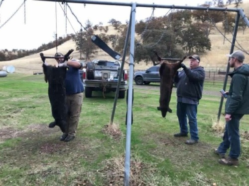 <p>John Alvernaz I had a great hunt and appreciate your knowledge. I will be hunting with you and Bobby again soon. Ed .</p>