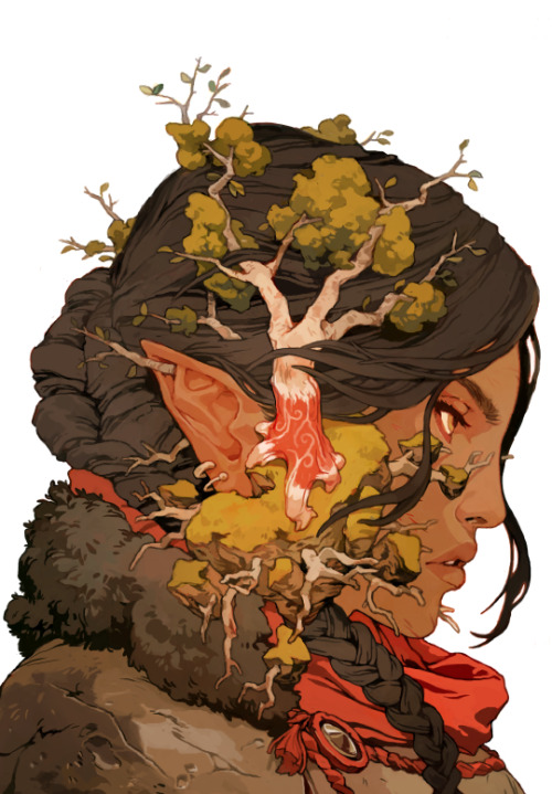 Dragon Age Knight Errant #2 for Dark Horse Here to remind you that the first issue of the five part 