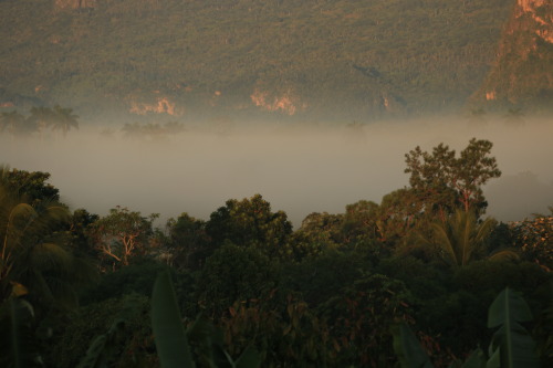 suiyobi:Morning in Viñales, Cuba.