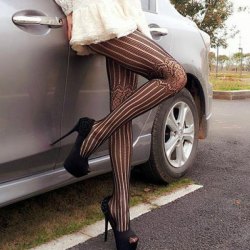 lingeriesheaven:Sexy Lace and Vertical Stripe Design Mesh Pantyhose For Women only Ŭ.03